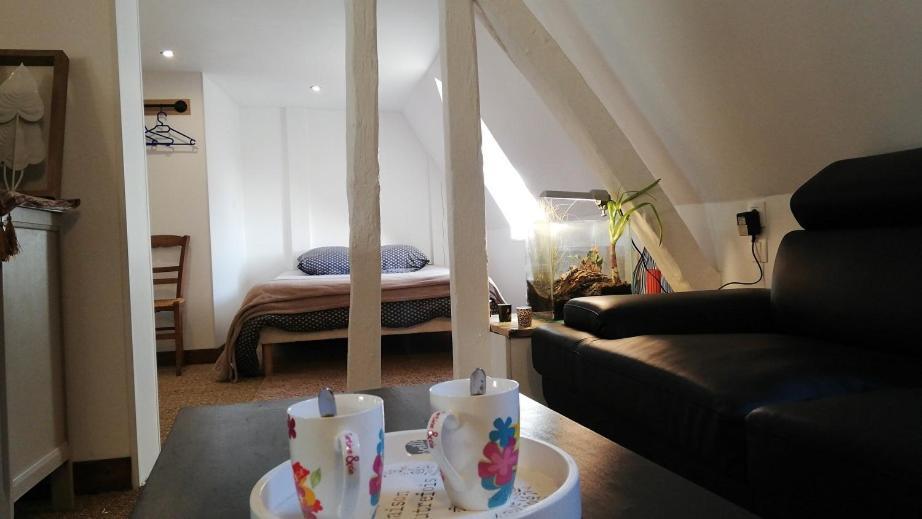 Beaumont-sur-Sarthe La Belmontaise B&B 외부 사진